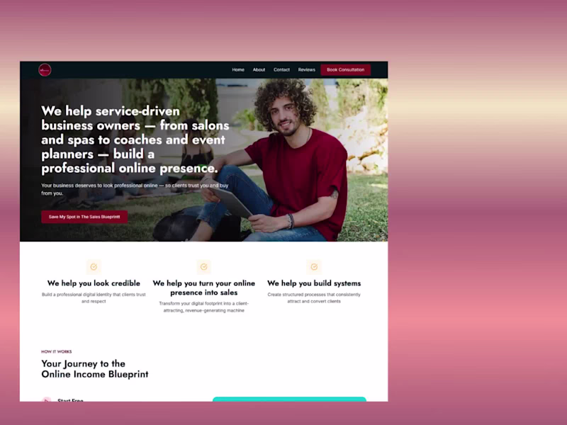 Cover image for Digital Branding and Systems Integration for Dontriant