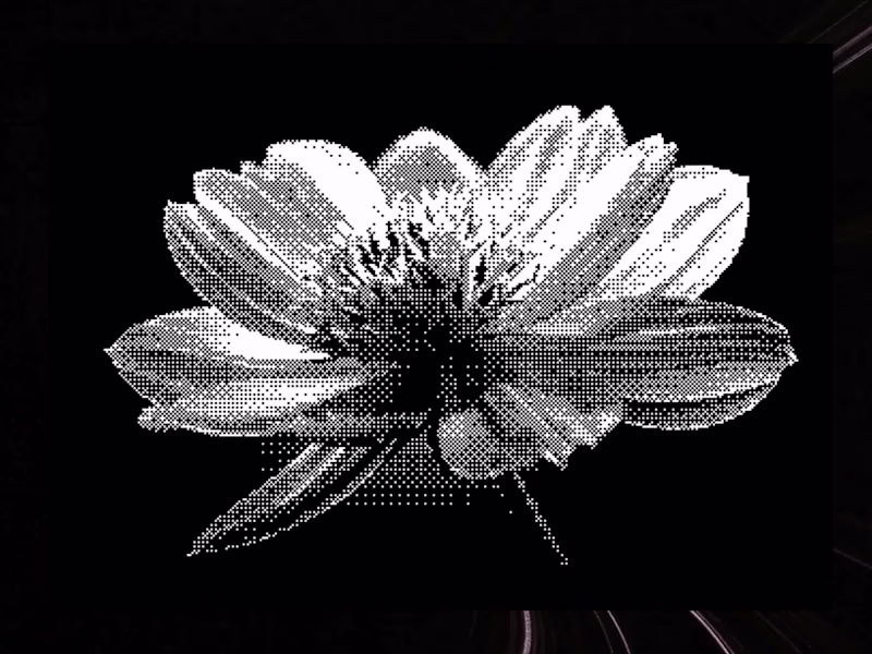 Cover image for Static images are boring. Dither