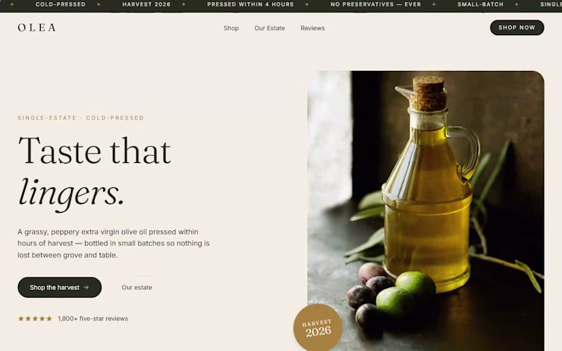 Cover image for OLEA — Premium Food Brand