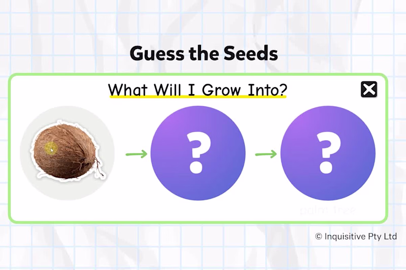 Cover image for Interactive Science Lesson for Kids: Guess the Seeds