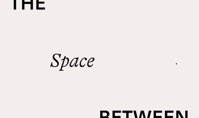 Cover image for The Space Between