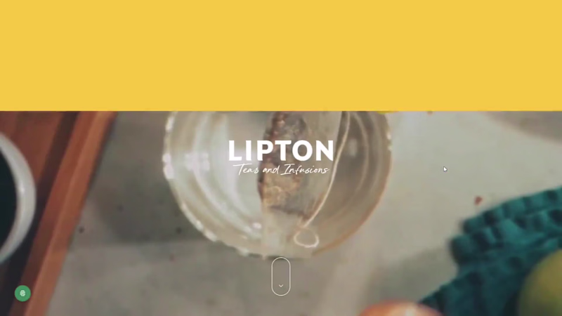 Cover image for LIPTON Teas and Infusions: The tea global leader