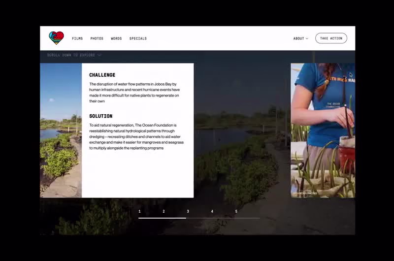 Cover image for Scrollytelling Design for 11th Hour Charity