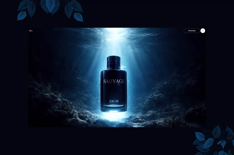 Cover image for Sauvage