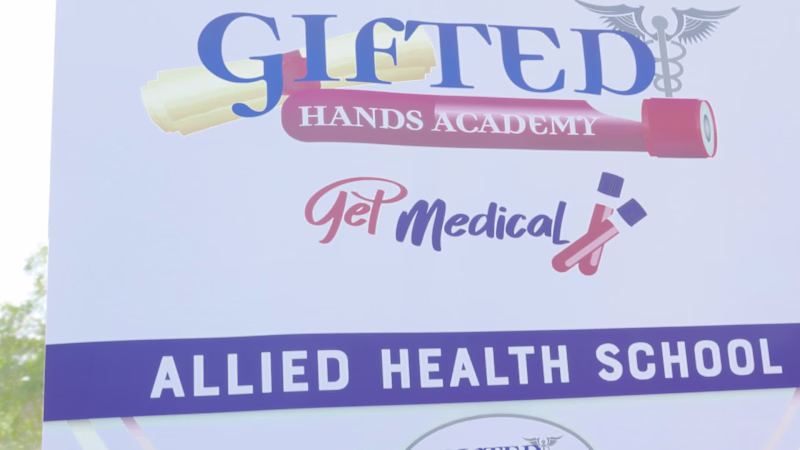 Cover image for :This is an example of