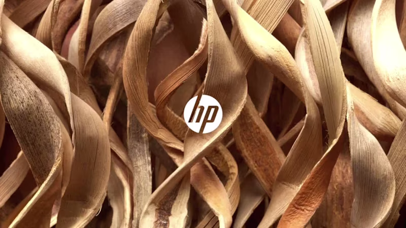 Cover image for HP & OMEN — Global Design System + Brand Evolution
