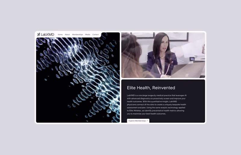 Cover image for LabXMD | Branding and Framer Website Design