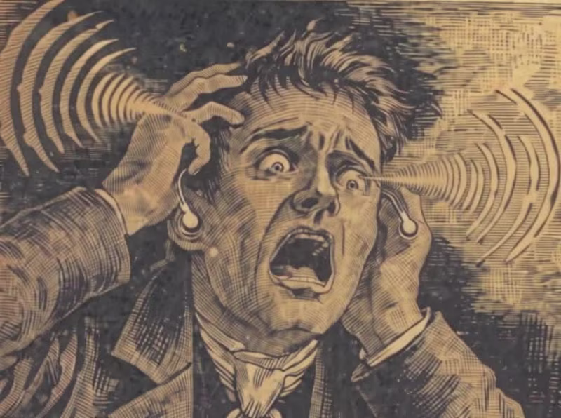Cover image for While exploring the public domain