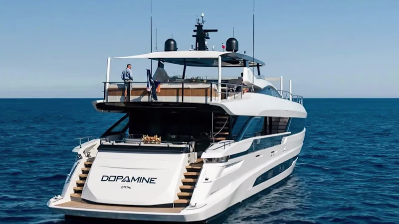 Cover image for Designing the Brand Identity for Dopamine Charter