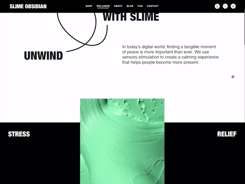 Cover image for Front-end Development for Slime Obsidian's Wellness Page