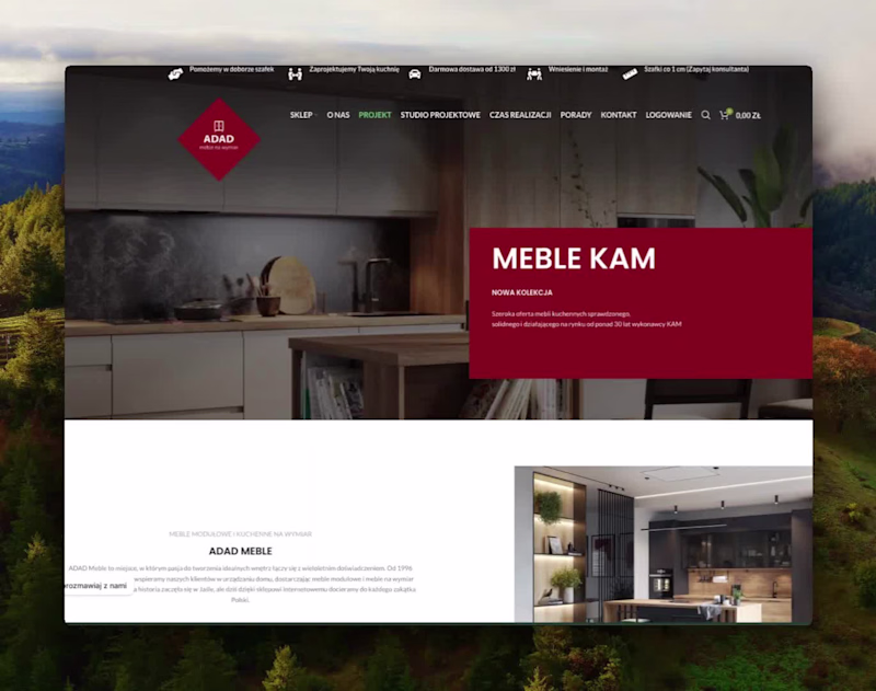 Cover image for Web Development and SEO for Polish E-commerce Furniture Site