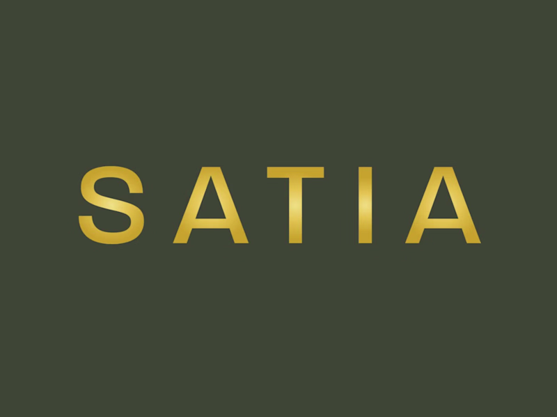 Cover image for SATIA | Brand Identity