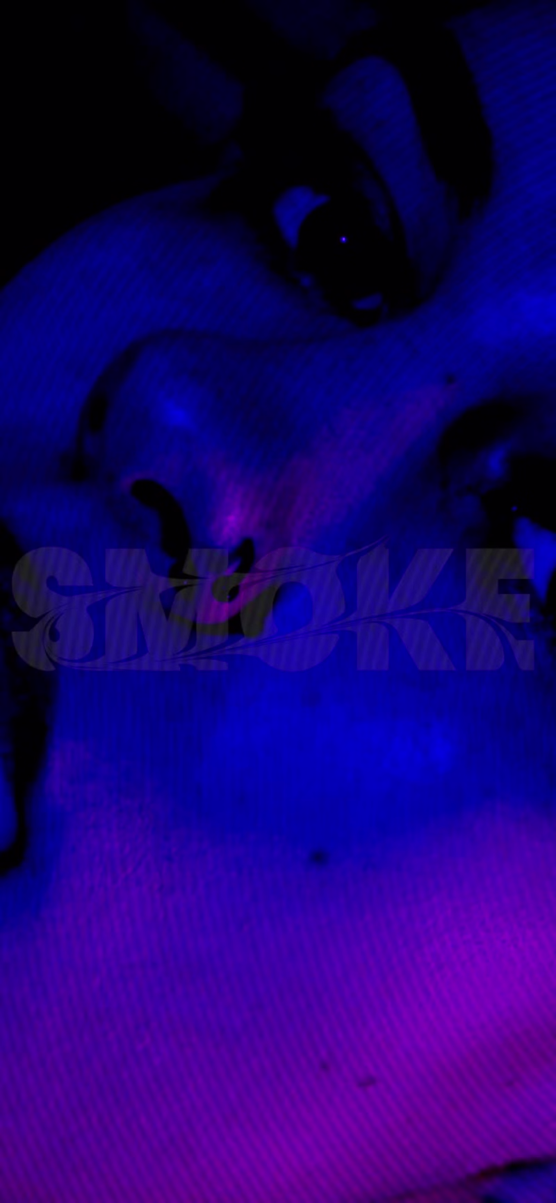 Cover image for Promotional Reel for House Music Event - SMOKE