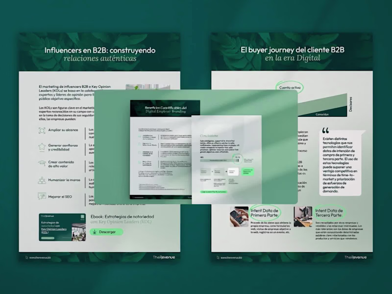 Cover image for Interactive E-book Design for The Revenue