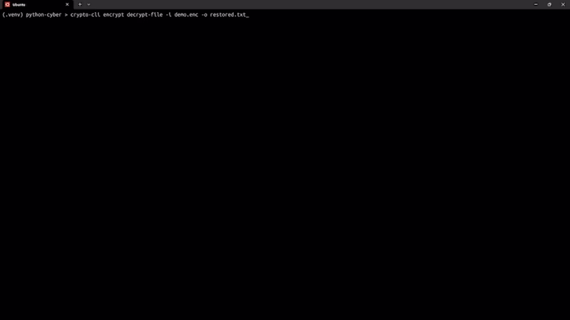 Cover image for I developed a Python CLI