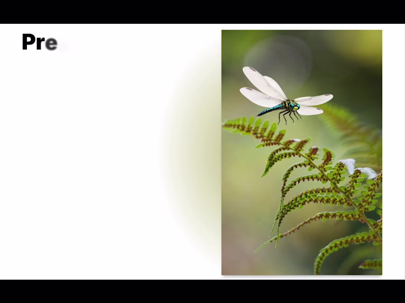 Cover image for Precision in Motion – Animated
