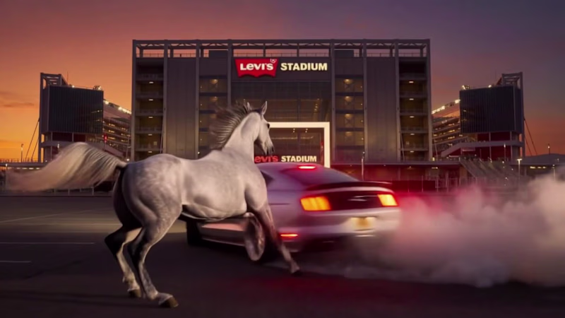 Cover image for To mark 122 years of