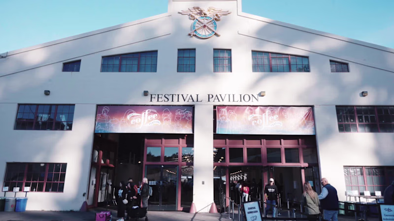 Cover image for ARKYVS produced one of the