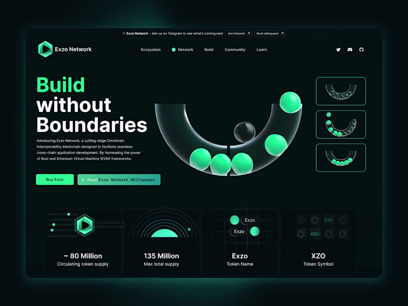 Cover image for Exzo network - Animation Exploration