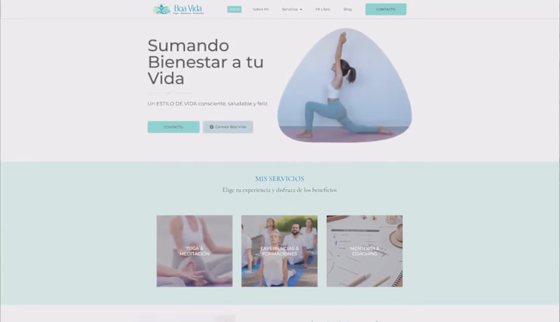 Cover image for Boa Vida Website Redesign