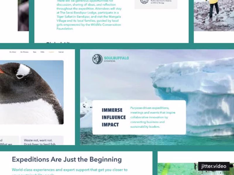 Cover image for A new website balances between inspiration and confrontation