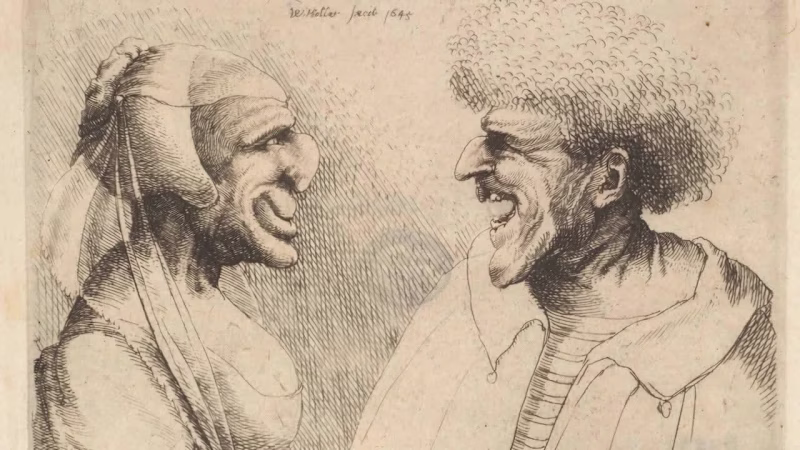 Cover image for The Beauty Between Them
A deformed
