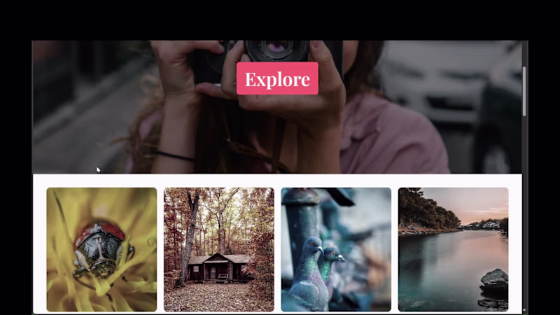 Cover image for Photographer Demo Gallery Page