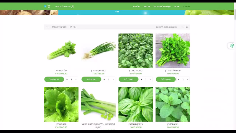 Cover image for HTML Website Development | Aley