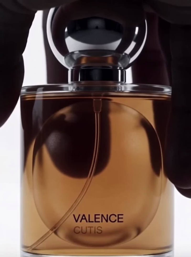 Cover image for VALENCE