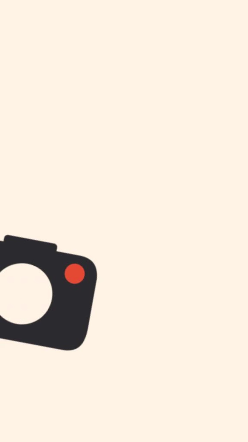 Cover image for Juni Shoots - Rebranding