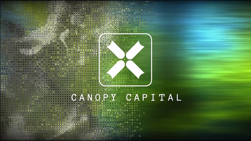 Cover image for Canopy Capital Brand Identity & Website