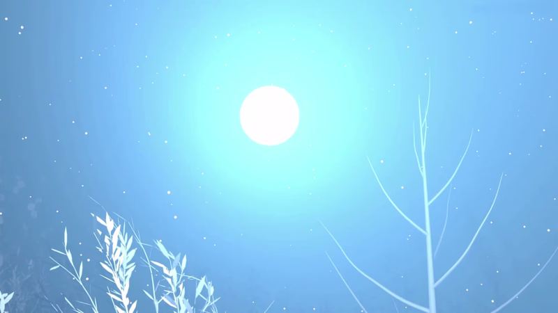 Cover image for A stylized cinematic wolf sequence