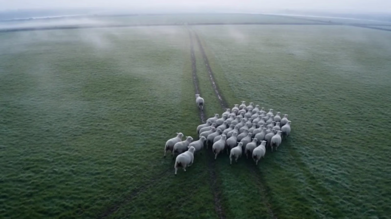 Cover image for Made a Nike spec ad