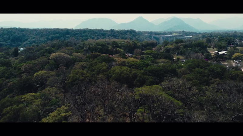 Cover image for Where Service Meets Soul: Azteca Calatayud