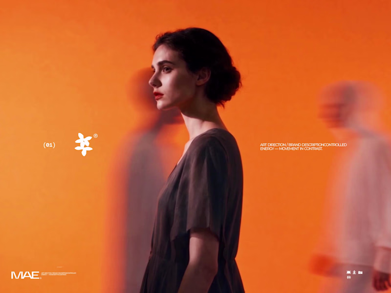 Cover image for MAE — Art Direction &