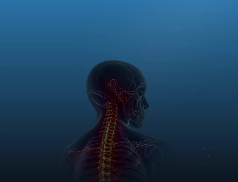 Cover image for Website for a Orthopedic Healthcare Clinic