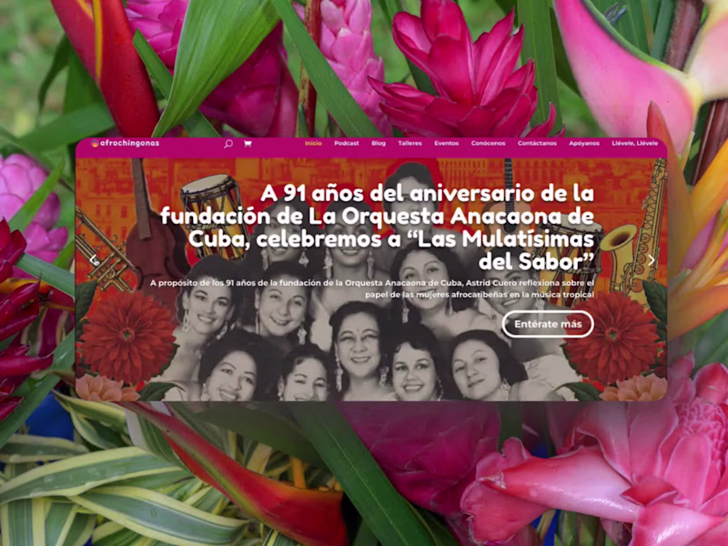 Cover image for Afrochingonas