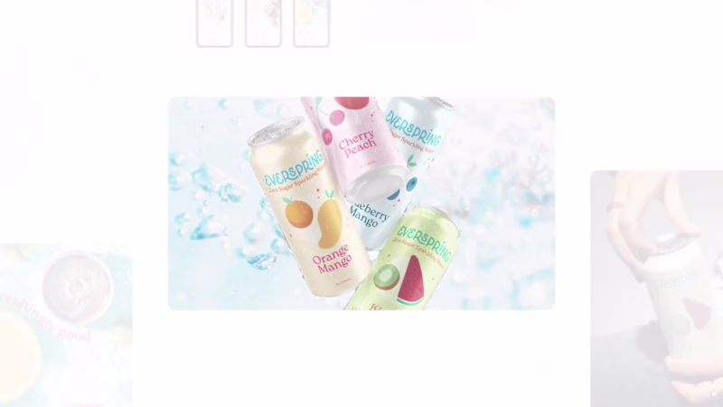 Cover image for Everspring Sparkling Water Brand Identity