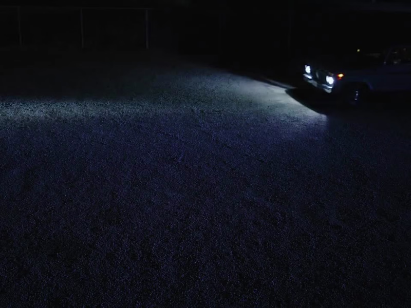 Cover image for Full-scale production lead for Reigning