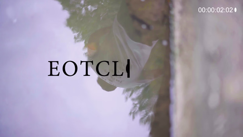 Cover image for A results-driven e-commerce and digital