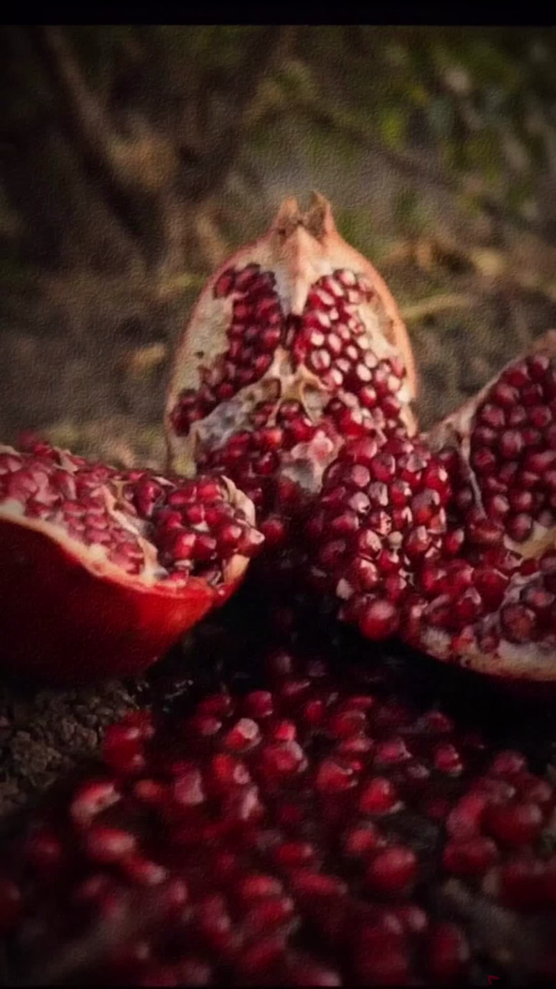 Cover image for Pomegranate | Cinematic AI Visual Story