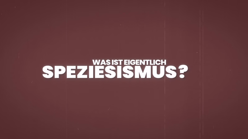 Cover image for Explainer Video, Excerpt