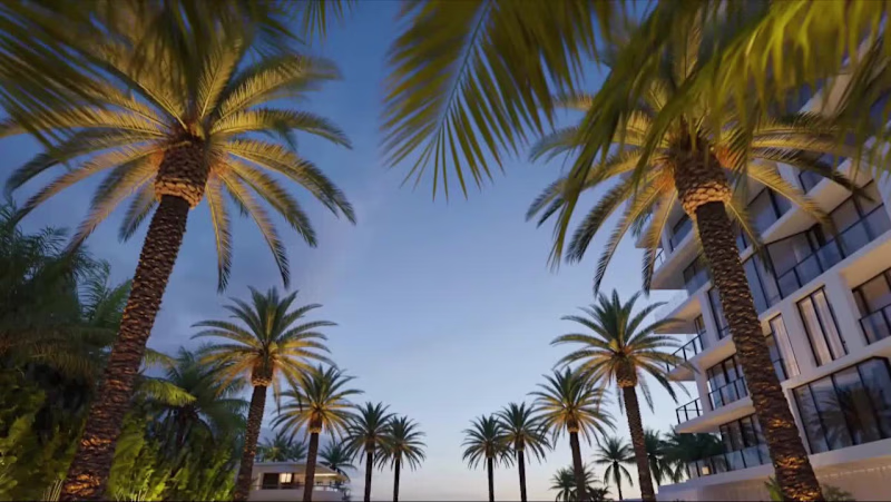 Cover image for The Raleigh Miami — Luxury