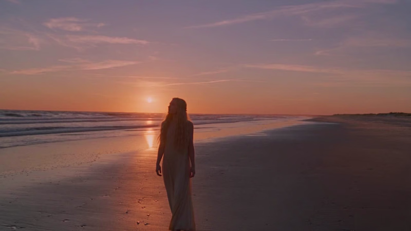 Cover image for Walking on Beach Proof of