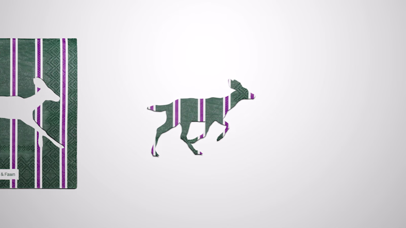 Cover image for Promotional 3d video for lifestyle brand Hunter & Fawn