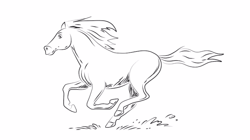 Cover image for Whiteboard Animation Video for Company