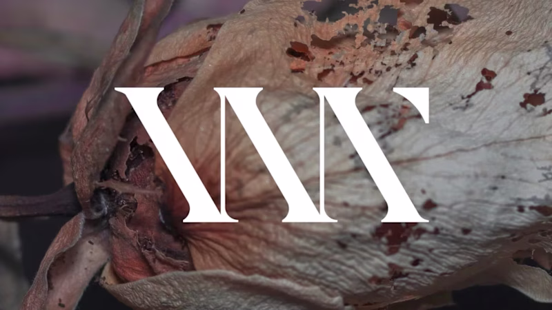 Cover image for Logo and Branding Kit- Luxury Perfume Brand