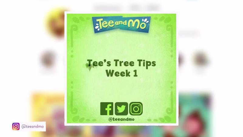 Cover image for Tee and Mo - Social Media Campaigns