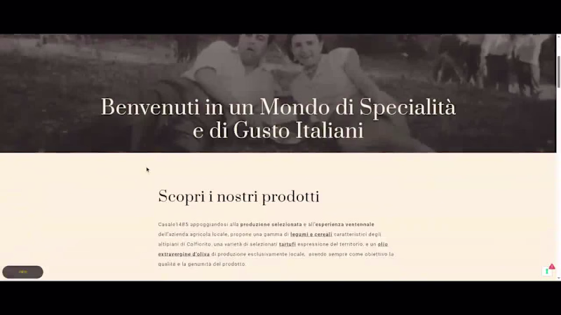 Cover image for Casale 1485 Showcase Website Development