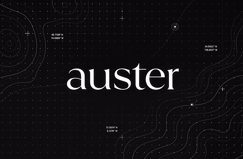 Cover image for Auster Network
